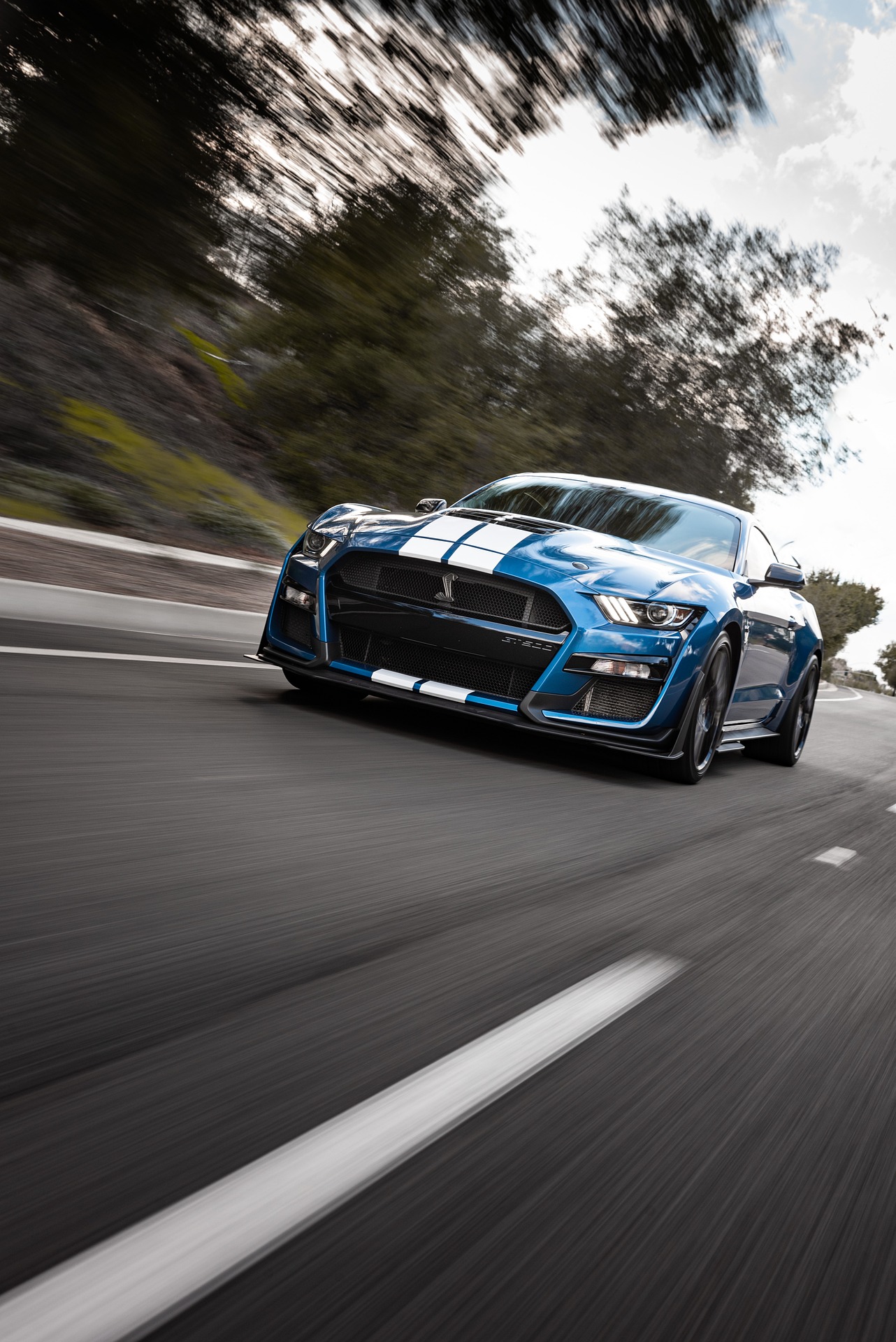 Te ayudamos a elegir tu próximo coche Mustang adrenalina